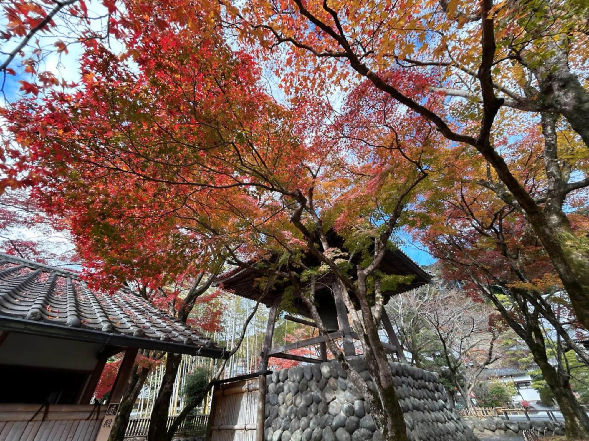 修善寺滝亭温泉酒店 伊豆 外观 照片