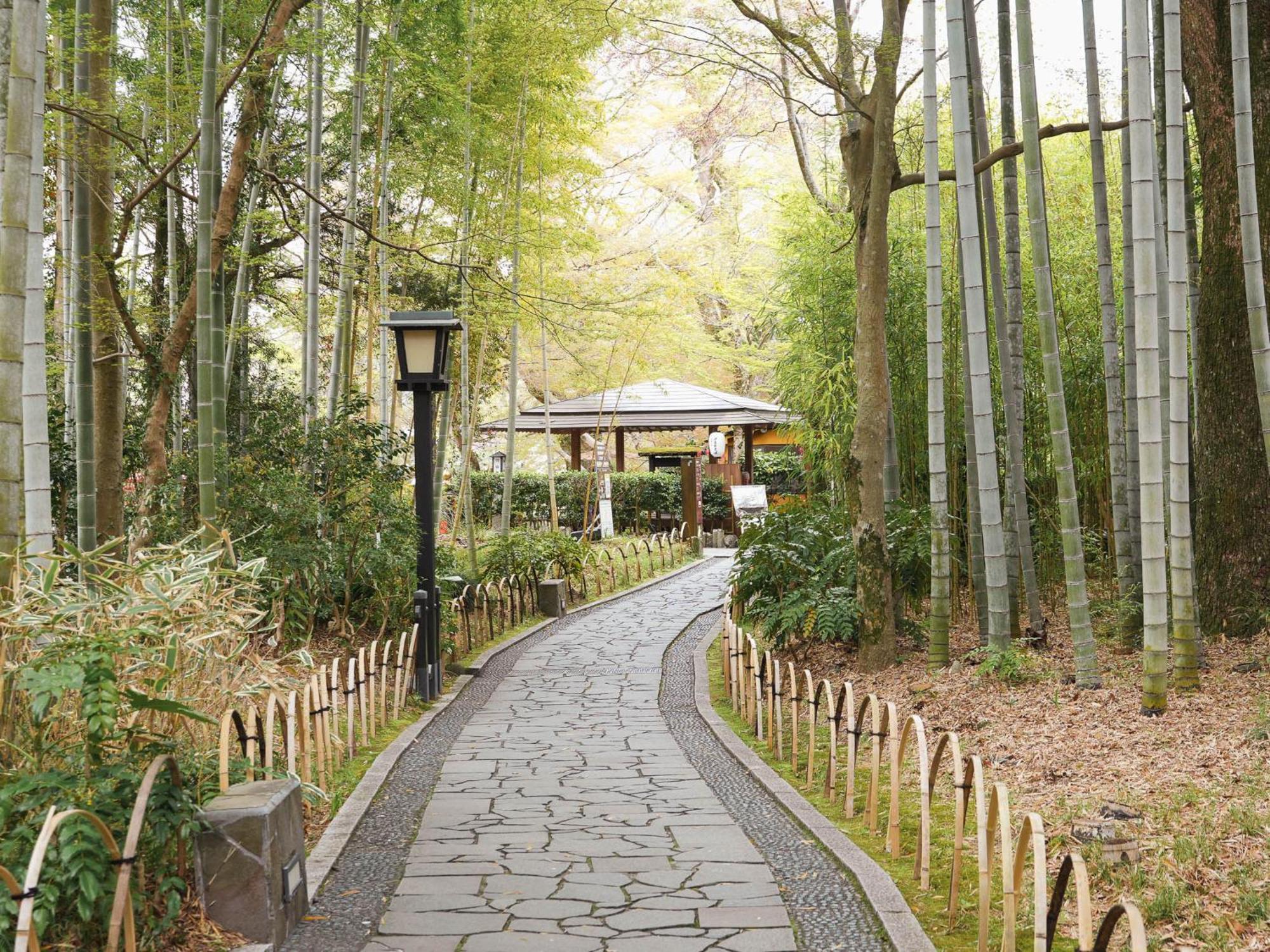 修善寺滝亭温泉酒店 伊豆 外观 照片